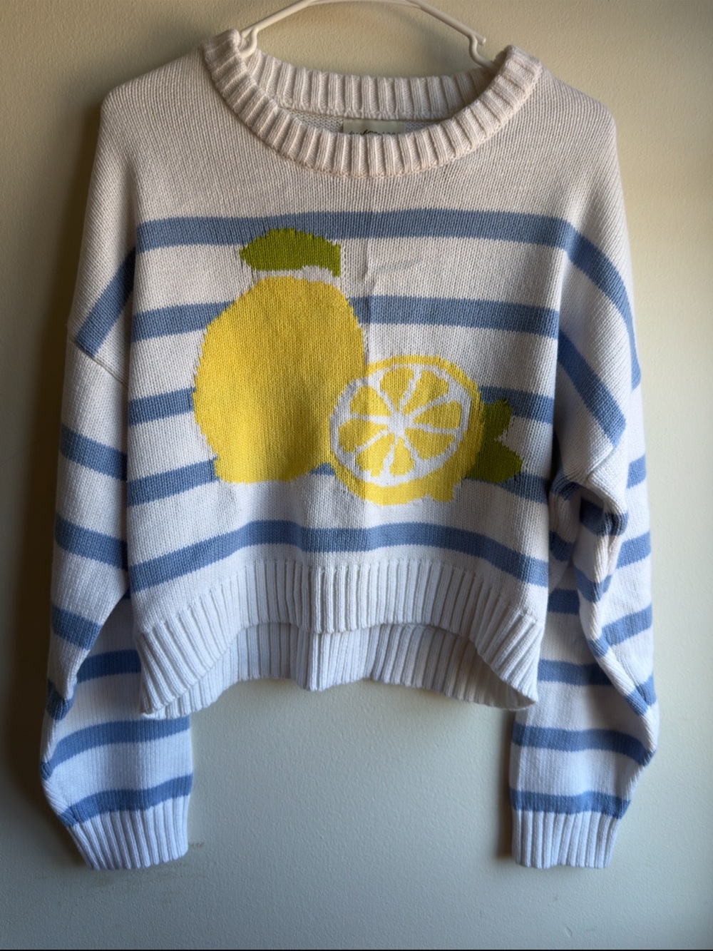 Freshman 1996 Lemon Graphic Blue Stripe Knit Sweater XL